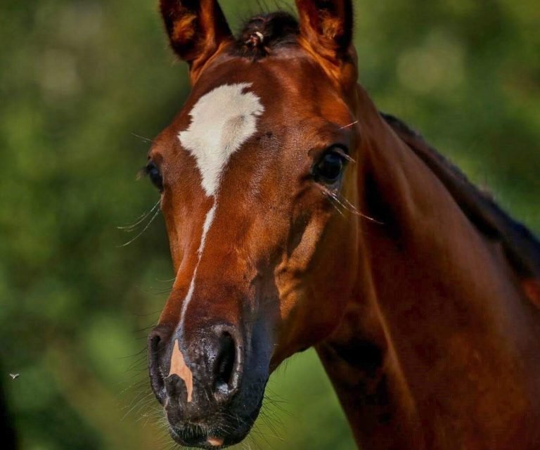 WhatsApp Image 2025-02-05 at 12.41.33